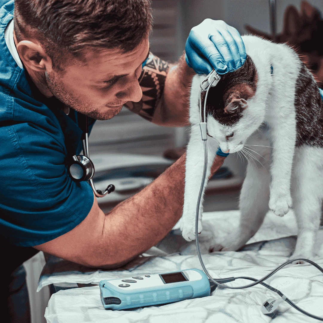 Cerrahi Müdahaleler