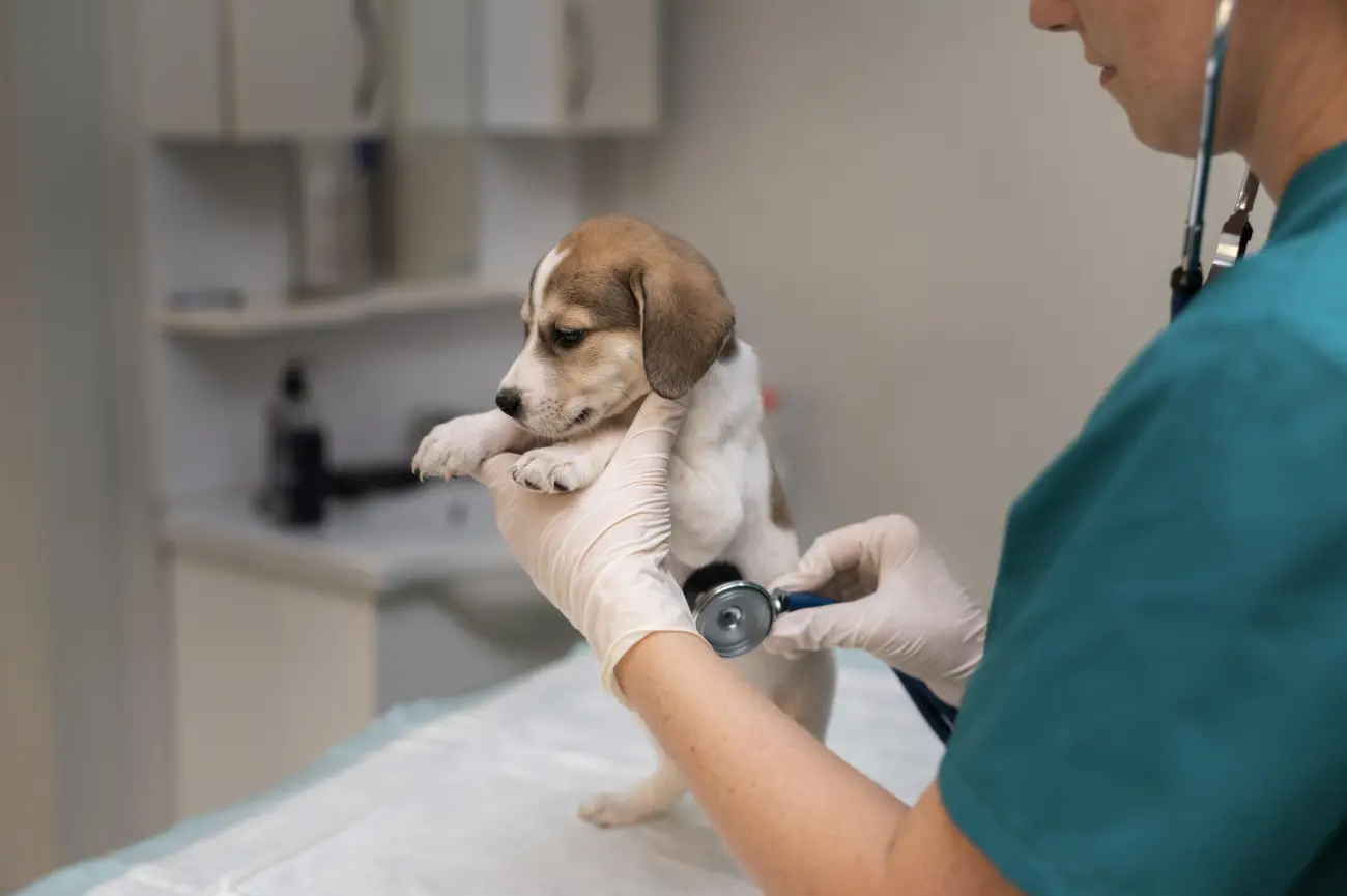 Sağlık Kontrolleri ve Muayene