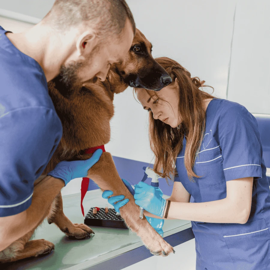 Klinik Tedaviler